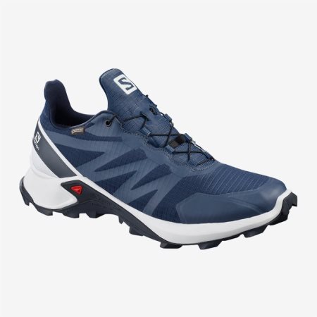 Salomon SUPERCROSS GTX Mens Hiking Shoes Navy | Salomon South Africa